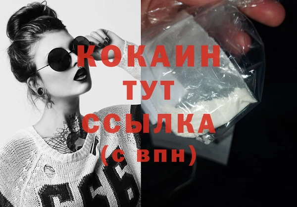 дмт Аркадак