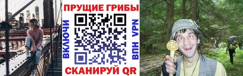 Галлюциногенные грибы мухоморы  Лесосибирск 